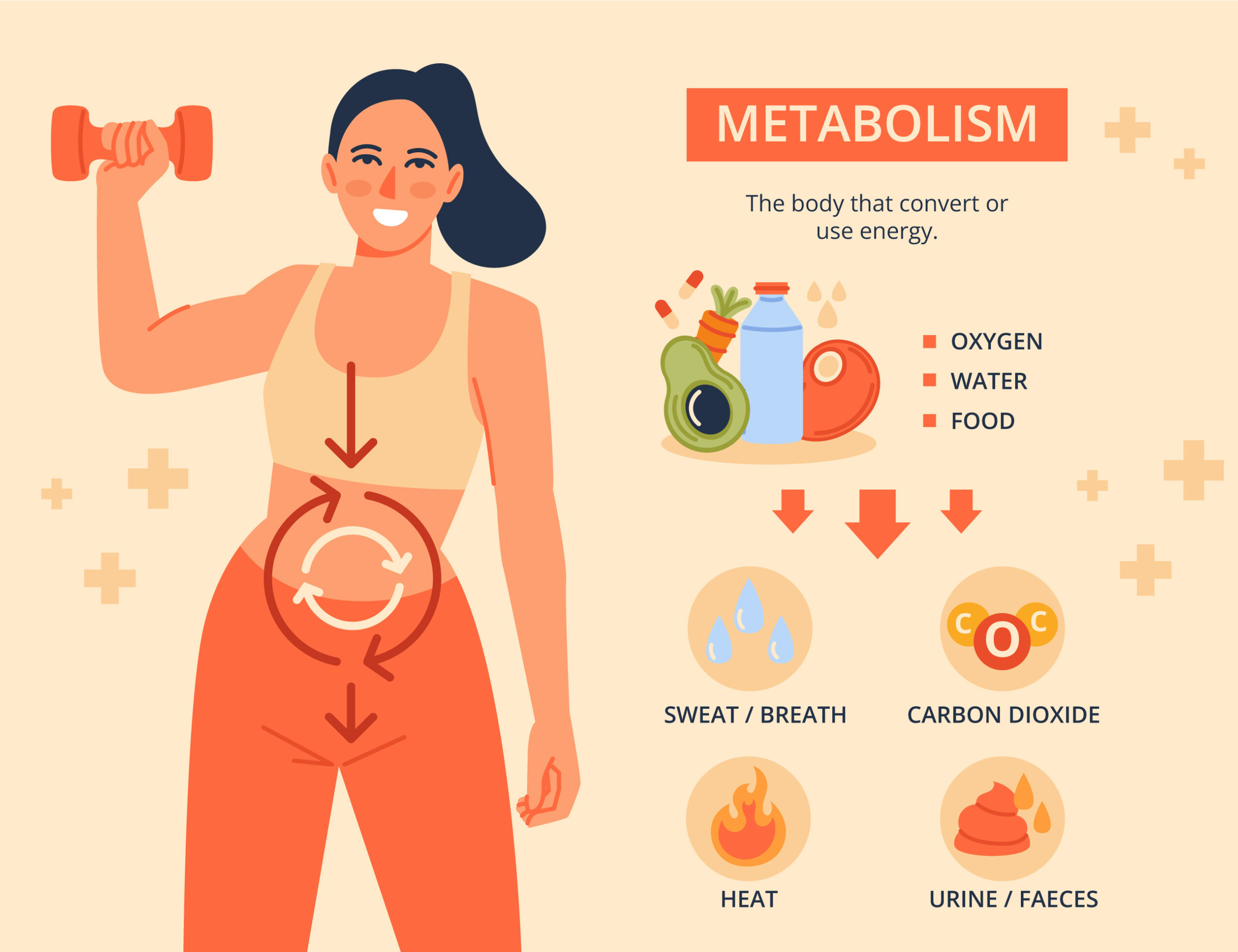 A person with a fit physique eating a balanced meal, surrounded by icons of energy, muscle growth, and calorie burn, symbolizing the signs and benefits of a fast metabolism.